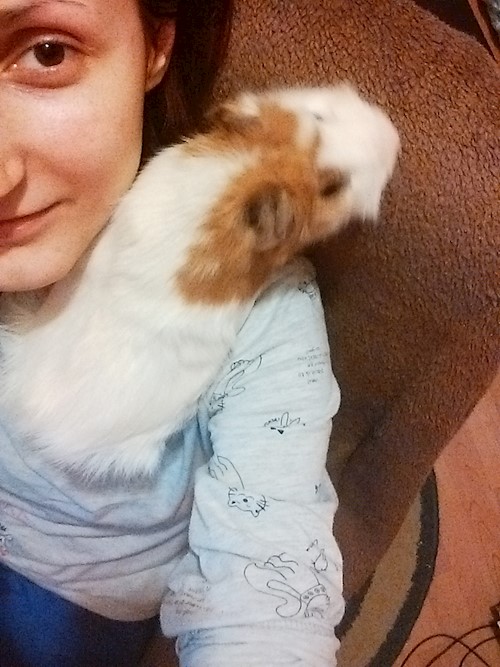 Despina-Gabriela- petsitter București or Pet nanny for dogs cats