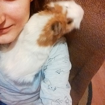 thumbnail petsitter București or pet nanny for dogs cats