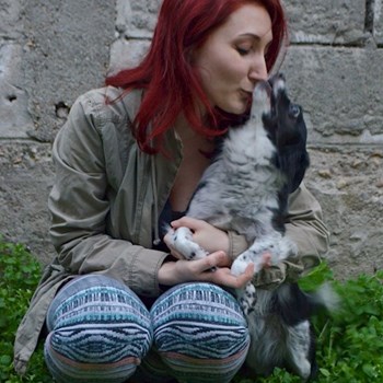 thumbnail petsitter București or pet nanny for dogs cats