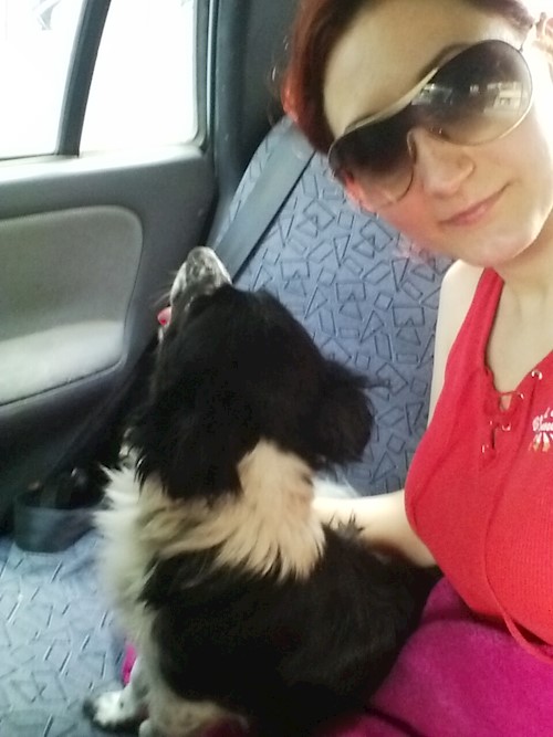 Despina-Gabriela- petsitter București or Pet nanny for dogs cats