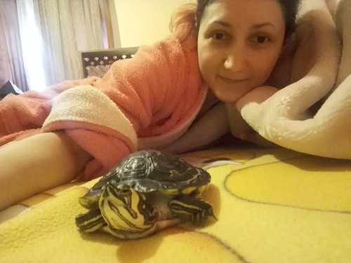 Despina-Gabriela- petsitter București or Pet nanny for dogs cats