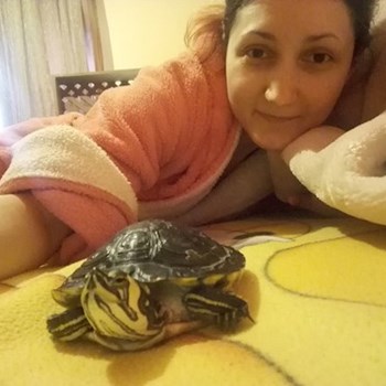 thumbnail petsitter București or pet nanny for dogs cats