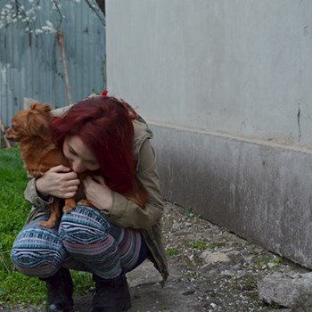 thumbnail petsitter București or pet nanny for dogs cats