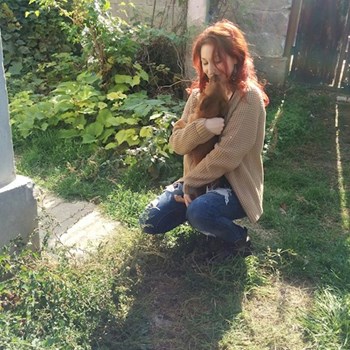 thumbnail petsitter București or pet nanny for dogs cats