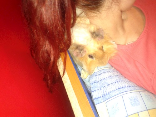 Despina-Gabriela- petsitter București or Pet nanny for dogs cats