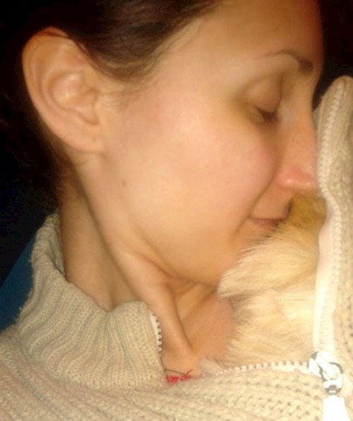 Despina-Gabriela- petsitter București or Pet nanny for dogs cats