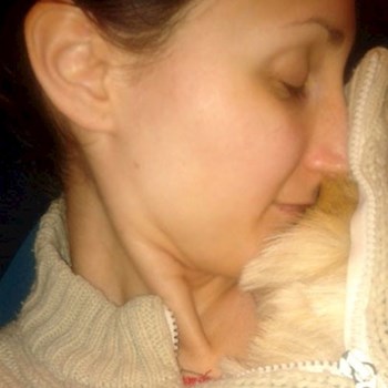 thumbnail petsitter București or pet nanny for dogs cats