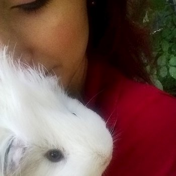 thumbnail petsitter București or pet nanny for dogs cats