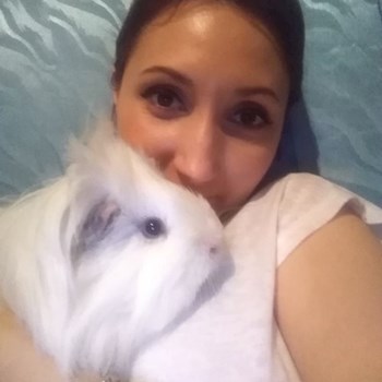 thumbnail petsitter București or pet nanny for dogs cats