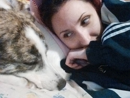 Despina-Gabriela- petsitter București or Pet nanny for dogs cats