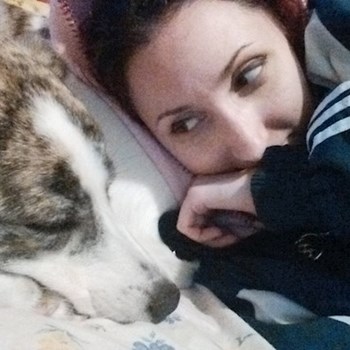 thumbnail petsitter București or pet nanny for dogs cats