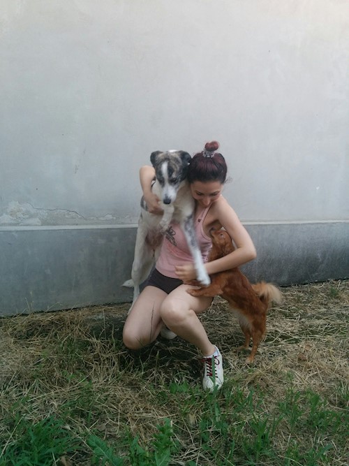 Despina-Gabriela- petsitter București or Pet nanny for dogs cats