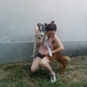 thumbnail petsitter București or pet nanny for dogs cats