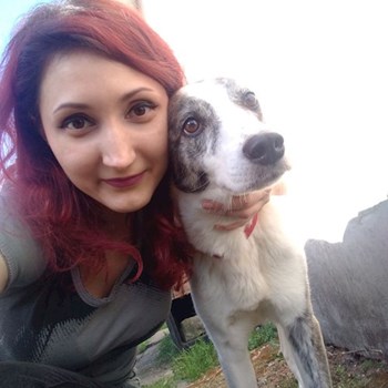 thumbnail petsitter București or pet nanny for dogs cats