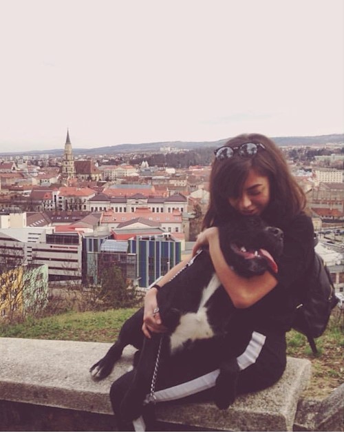 Alisa- petsitter Cluj-Napoca or Pet nanny for dogs cats 