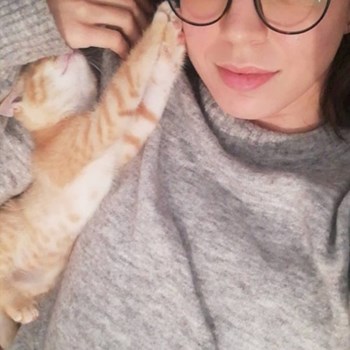 thumbnail petsitter Cluj-Napoca sau bonă pentru animale pentru câini pisici