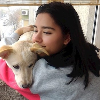 thumbnail petsitter București sau bonă pentru animale pentru câini pisici