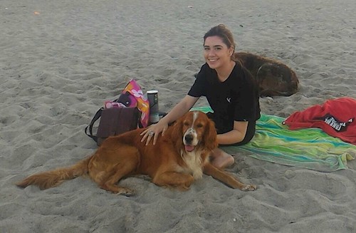 Iancu- petsitter București sau Bonă pentru animale pentru câini pisici