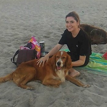 thumbnail petsitter București sau bonă pentru animale pentru câini pisici