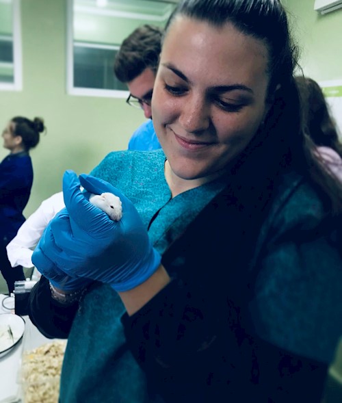 Diana- petsitter Iași or Pet nanny for dogs cats