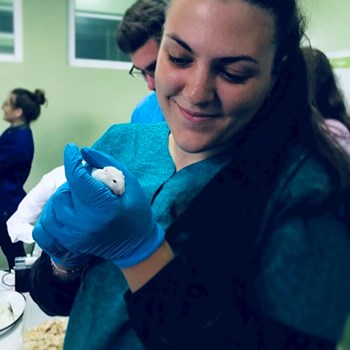 thumbnail petsitter Iași or pet nanny for dogs cats