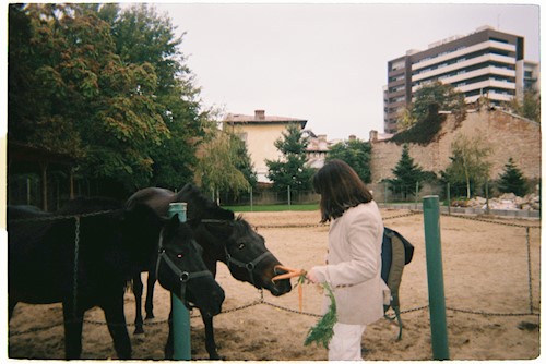 Iancu- petsitter București sau Bonă pentru animale pentru câini pisici