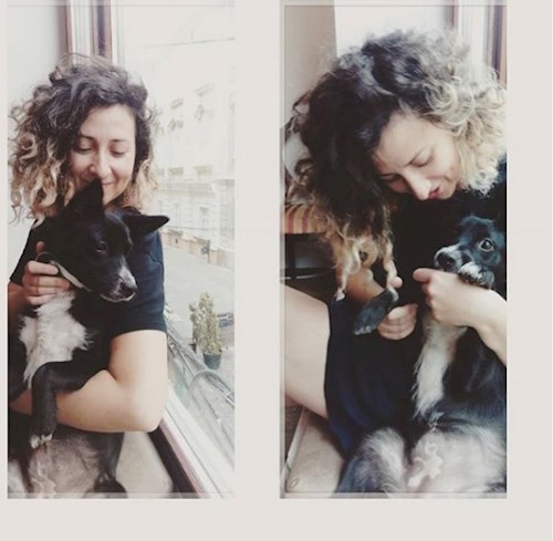 Juni- petsitter Timișoara sau Bonă pentru animale pentru câini pisici