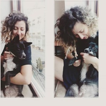 thumbnail petsitter Timișoara sau bonă pentru animale pentru câini pisici