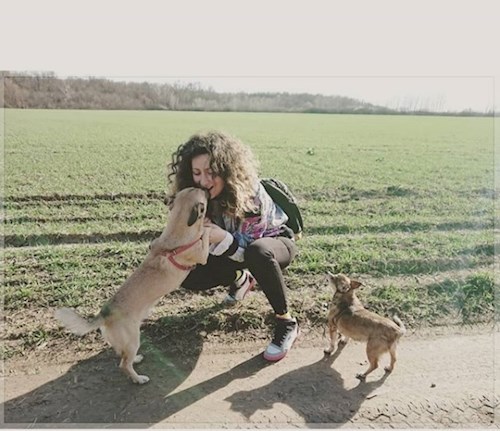 Juni- petsitter Timișoara sau Bonă pentru animale pentru câini pisici