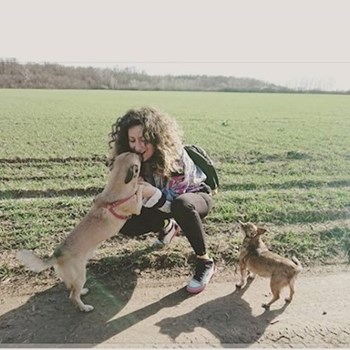 thumbnail petsitter Timișoara sau bonă pentru animale pentru câini pisici