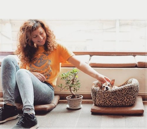 Juni- petsitter Timișoara sau Bonă pentru animale pentru câini pisici