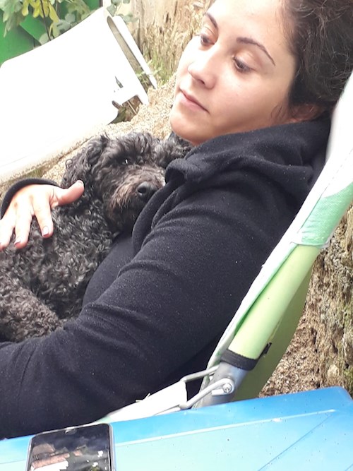 Crețiu- petsitter Târgu Mureș or Pet nanny for dogs cats 