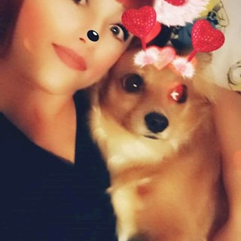 thumbnail petsitter București sau bonă pentru animale pentru câini pisici