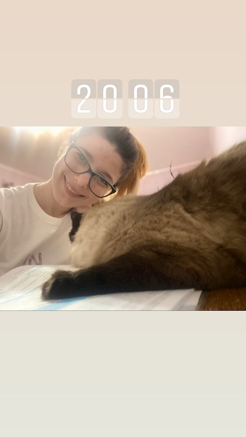 Apostu- petsitter București or Pet nanny for dogs cats