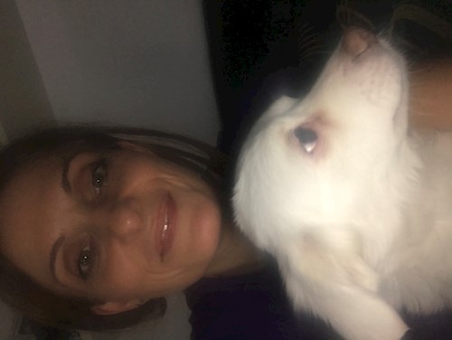 Hircila- petsitter București or Pet nanny for dogs 