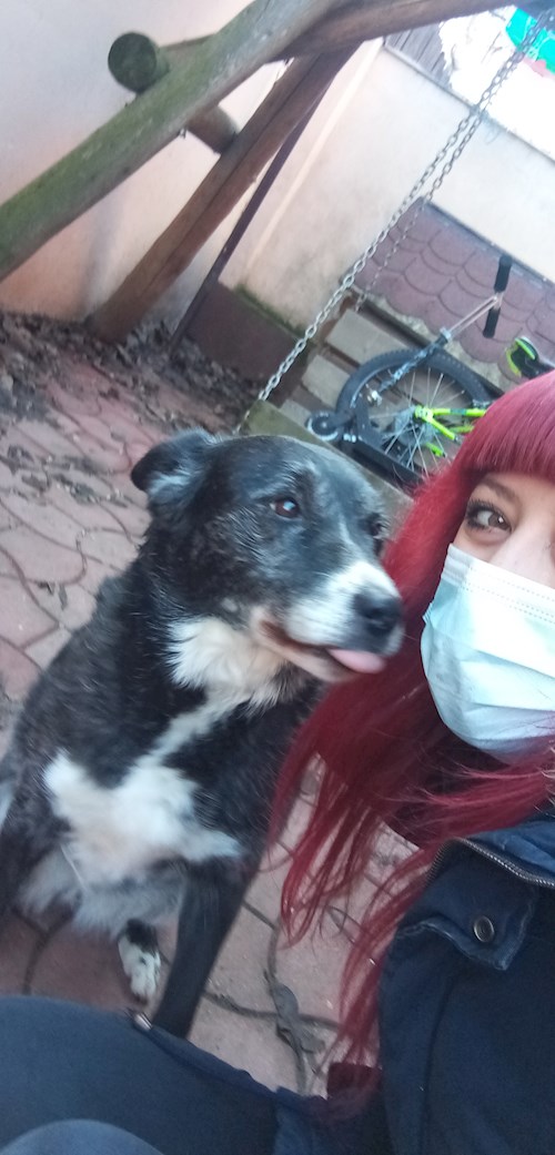 Alexandra- petsitter București sau Bonă pentru animale pentru câini pisici