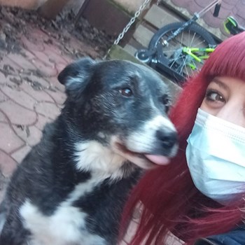 thumbnail petsitter București sau bonă pentru animale pentru câini pisici