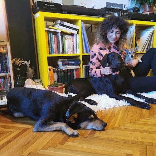 Juni- petsitter Timișoara or Pet nanny for dogs cats 