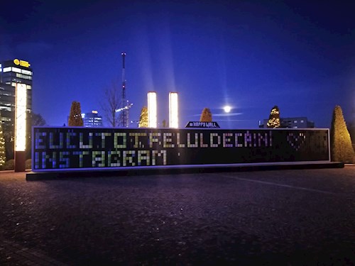 Juni- petsitter Timișoara sau Bonă pentru animale pentru câini pisici