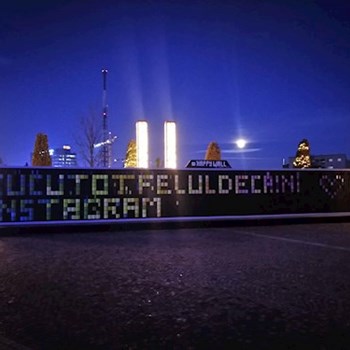 thumbnail petsitter Timișoara sau bonă pentru animale pentru câini pisici