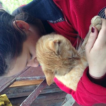  thumbnail petsitter București or pet nanny for dogs cats 