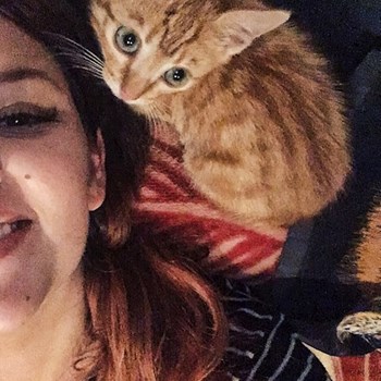  thumbnail petsitter București or pet nanny for dogs cats 
