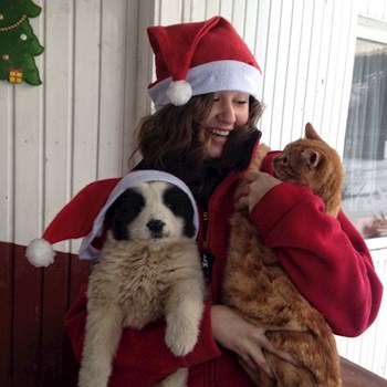  thumbnail petsitter București or pet nanny for dogs cats 