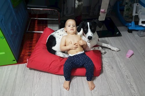 Diana- petsitter Timișoara or Pet nanny for dogs cats 