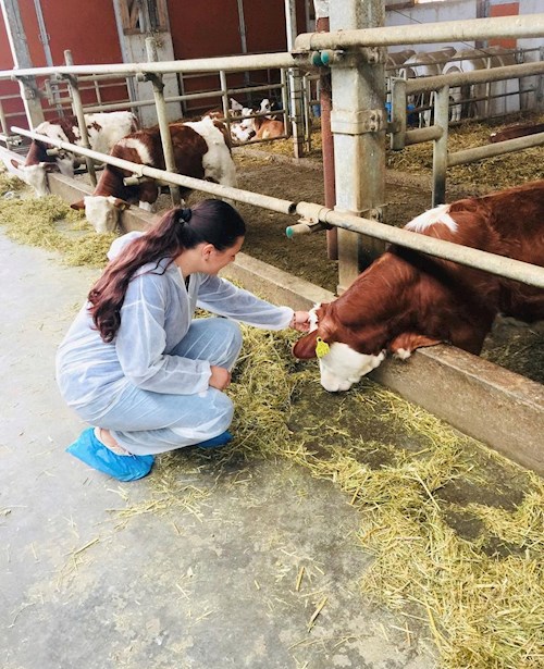 Diana- petsitter Iași or Pet nanny for dogs cats