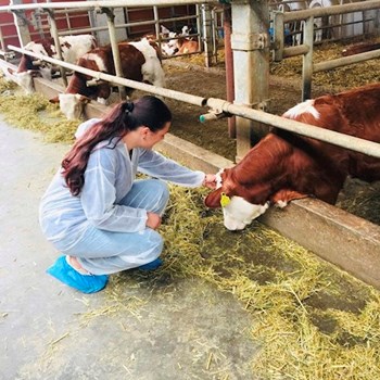 thumbnail petsitter Iași or pet nanny for dogs cats