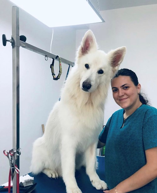 Diana- petsitter Iași or Pet nanny for dogs cats