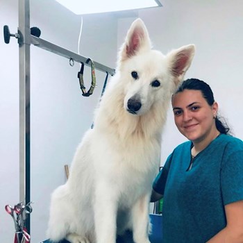 thumbnail petsitter Iași or pet nanny for dogs cats