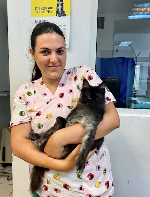 Diana- petsitter Iași or Pet nanny for dogs cats 