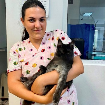 thumbnail petsitter Iași or pet nanny for dogs cats